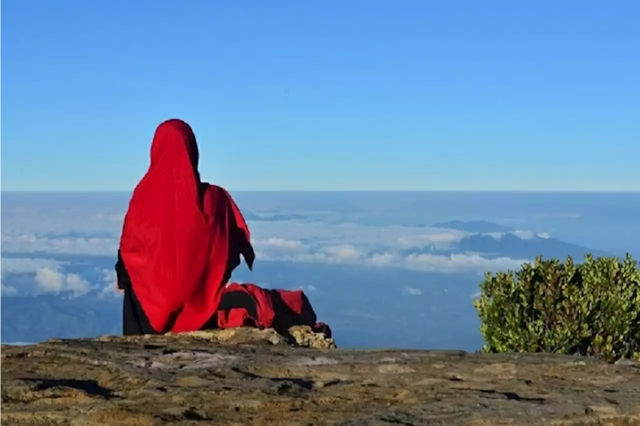 Benarkah Telat Jodoh Karena Ulah Jin? Begini Pandangan Syariat