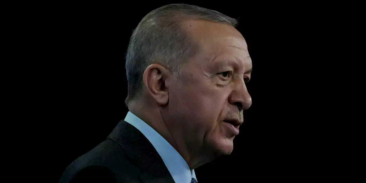 Außenpolitik der Türkei: Erdoğans Schaukelkurs