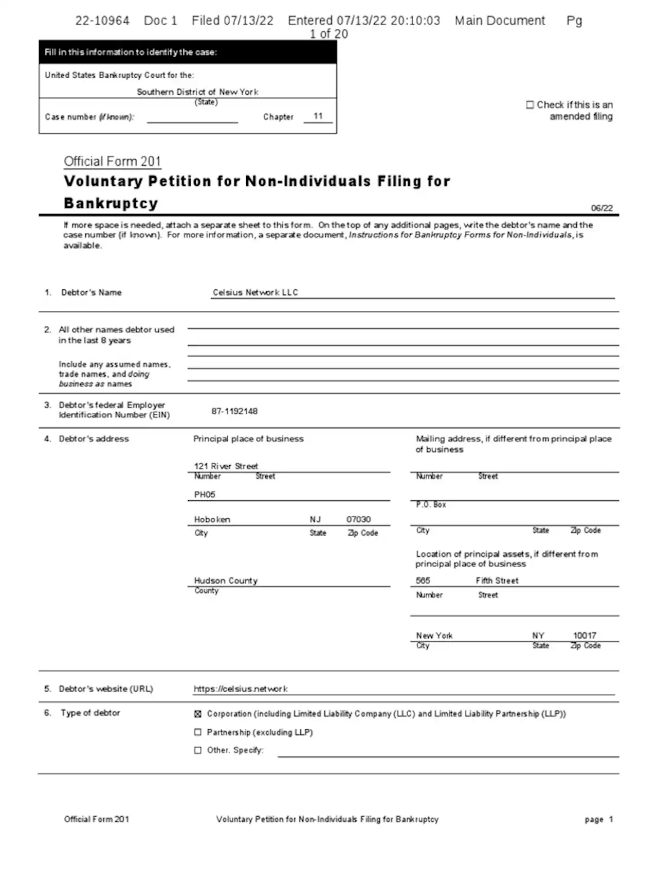 Petition | PDF | Chapter 11 | Bankruptcy