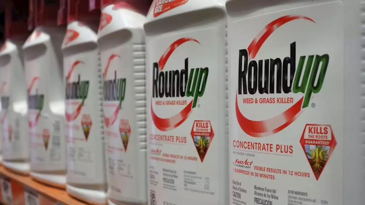 Appeals Court Rules Lawsuit Linking Roundup to Cancer Diagnosis Can Move Forward