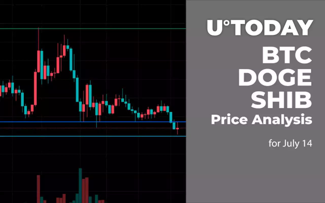 BTC, DOGE and SHIB Price Analysis for July 14