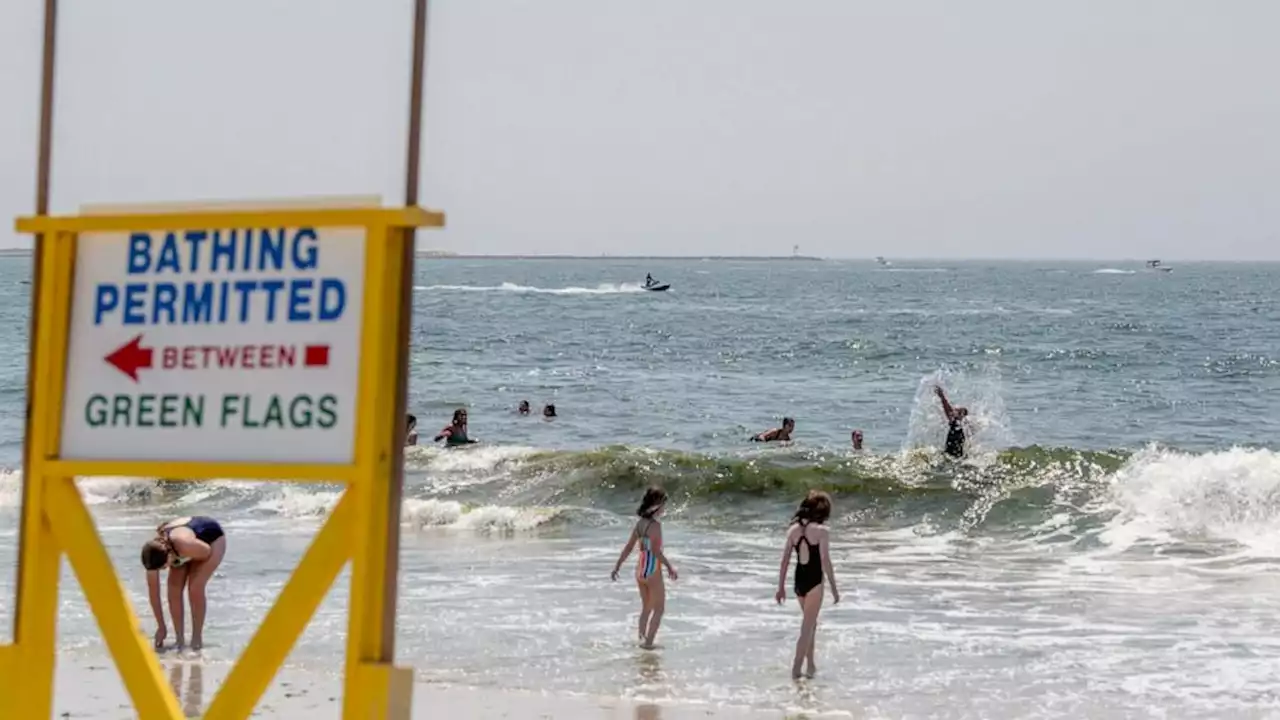 Long Island shark attacks: A timeline of the increasing phenomenon