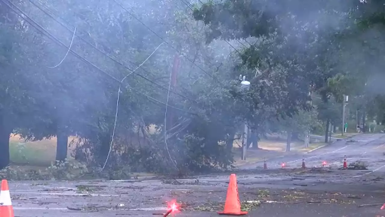 Powerful storm brings down trees and power lines on Long Island