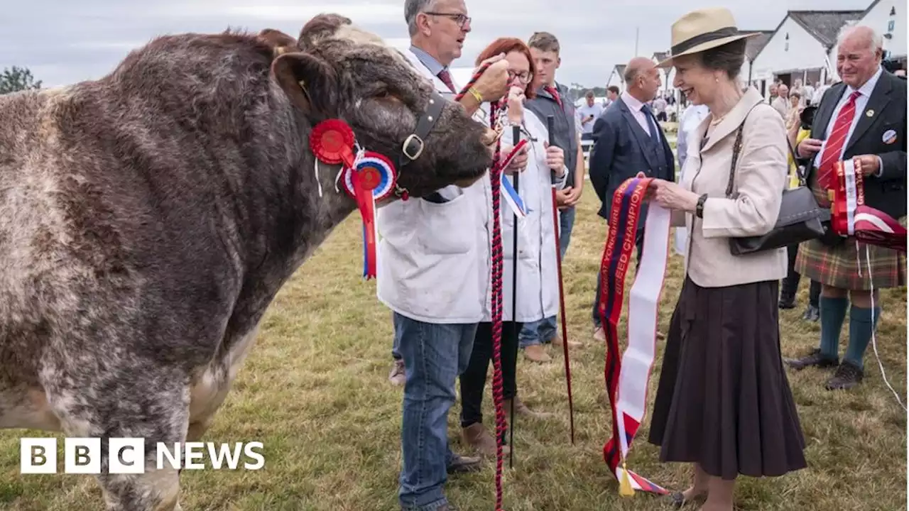 In pictures: Great Yorkshire Show draws to a close