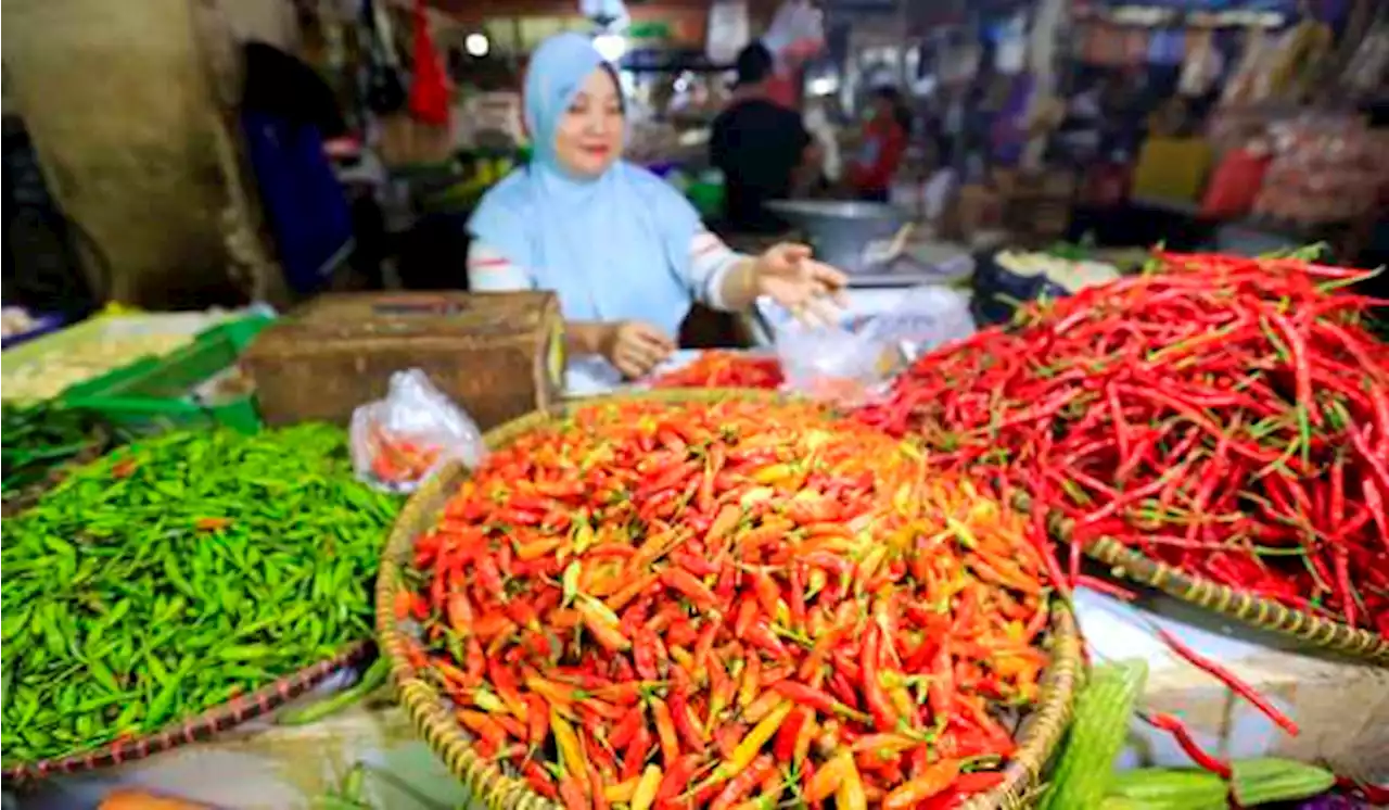 Badan Pangan Nasional Segera Keluarkan Harga Acuan Bahan Pokok