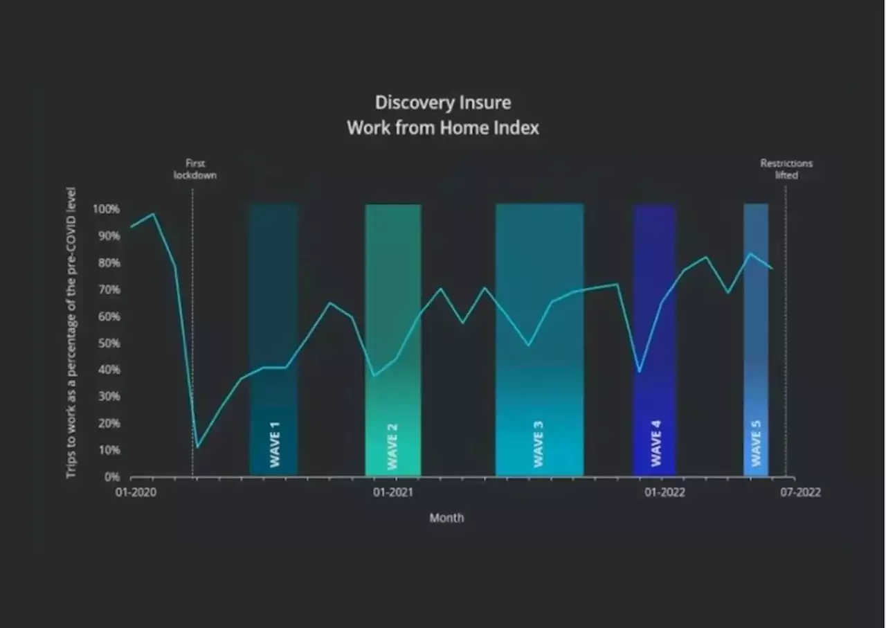 South Africans seem to be working from home two days a week, Discovery data suggests | Businessinsider