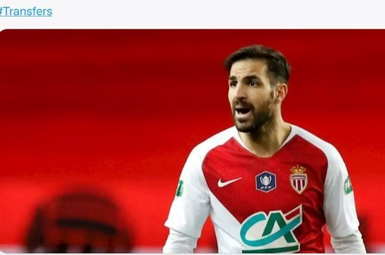 Cesc Fabregas Gabung Como 1907 dan Akan Dilatih Kurniawan Dwi Yulianto - Bolasport.com