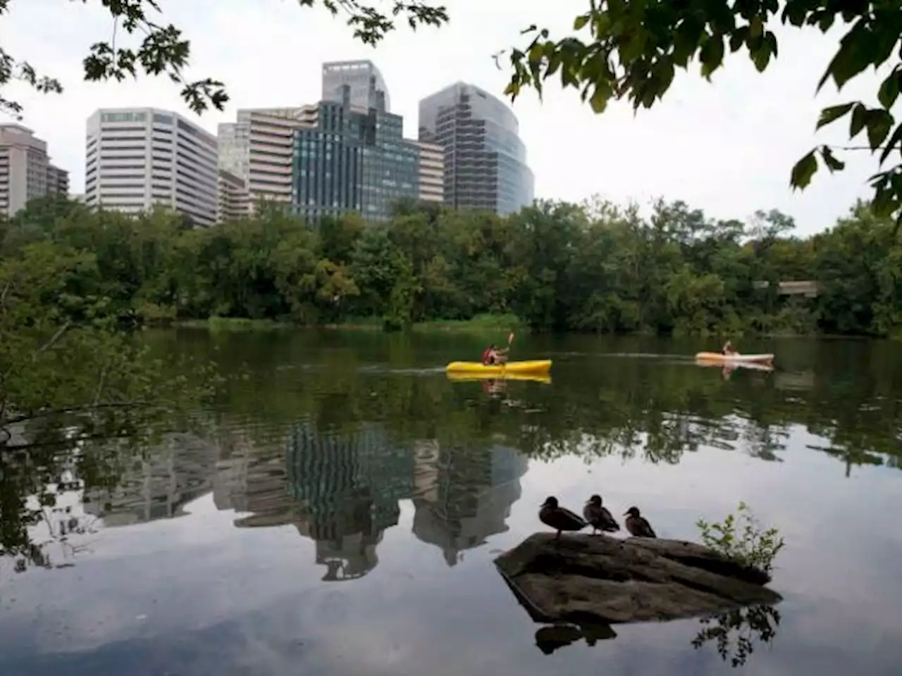 Michigan Man Recognized for Saving Kayaker from Drowning