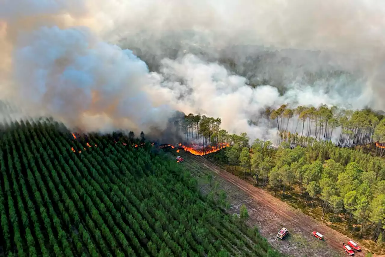 Wildfires scorch parts of Europe amid extreme heat wave | The Associated Press