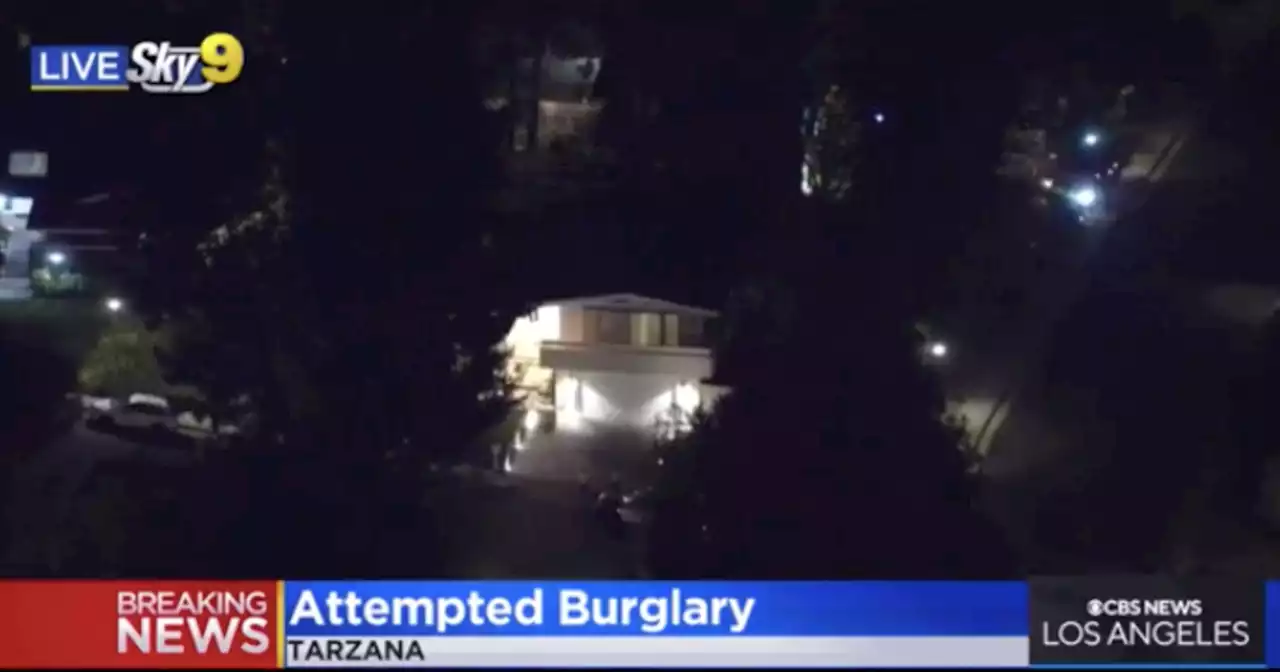 Tarzana homeowner opens fire on attempted burglars