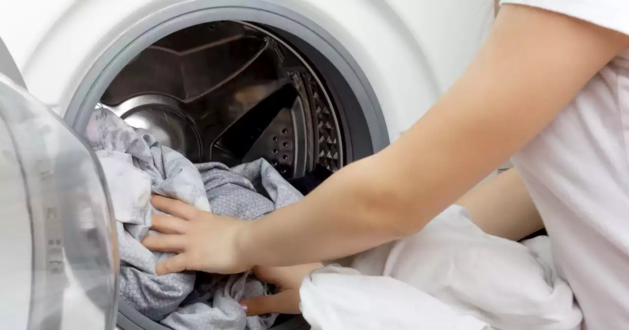 Cheapest time to use your washing machine each day during summer