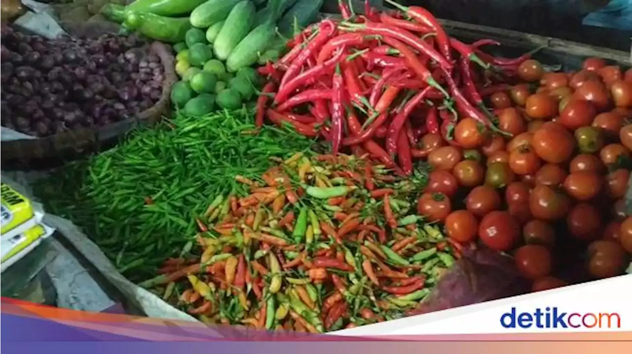 Harga Cabai Nggak Turun 3 Bulan, Pedagang Pusing dan Emosi!