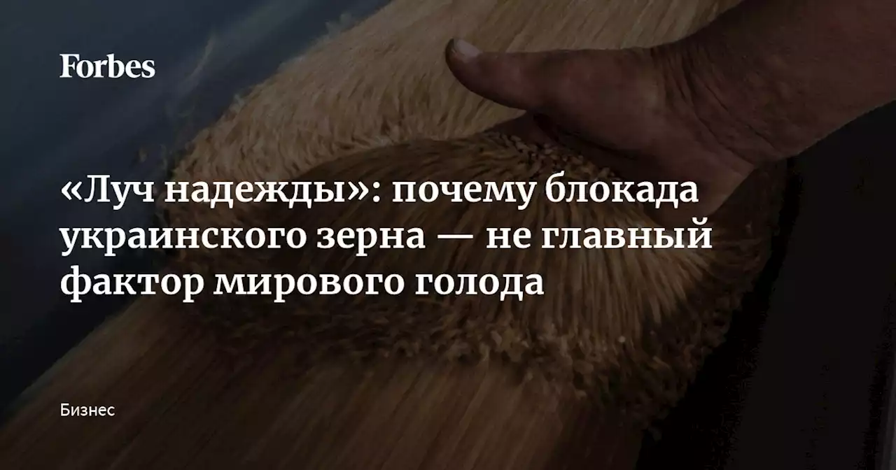 «Луч надежды»: почему блокада украинского зерна — не главный фактор мирового голода