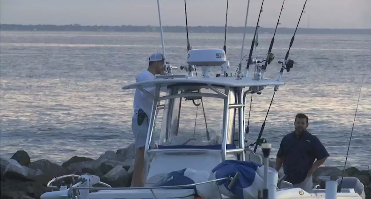 Let the fishing begin: the 89th annual Alabama Deep Sea Fishing Rodeo has officially kicked off on Dauphin Island