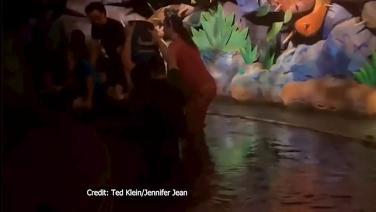 Disney World guests' escape from sinking Splash Mountain log boat caught on video