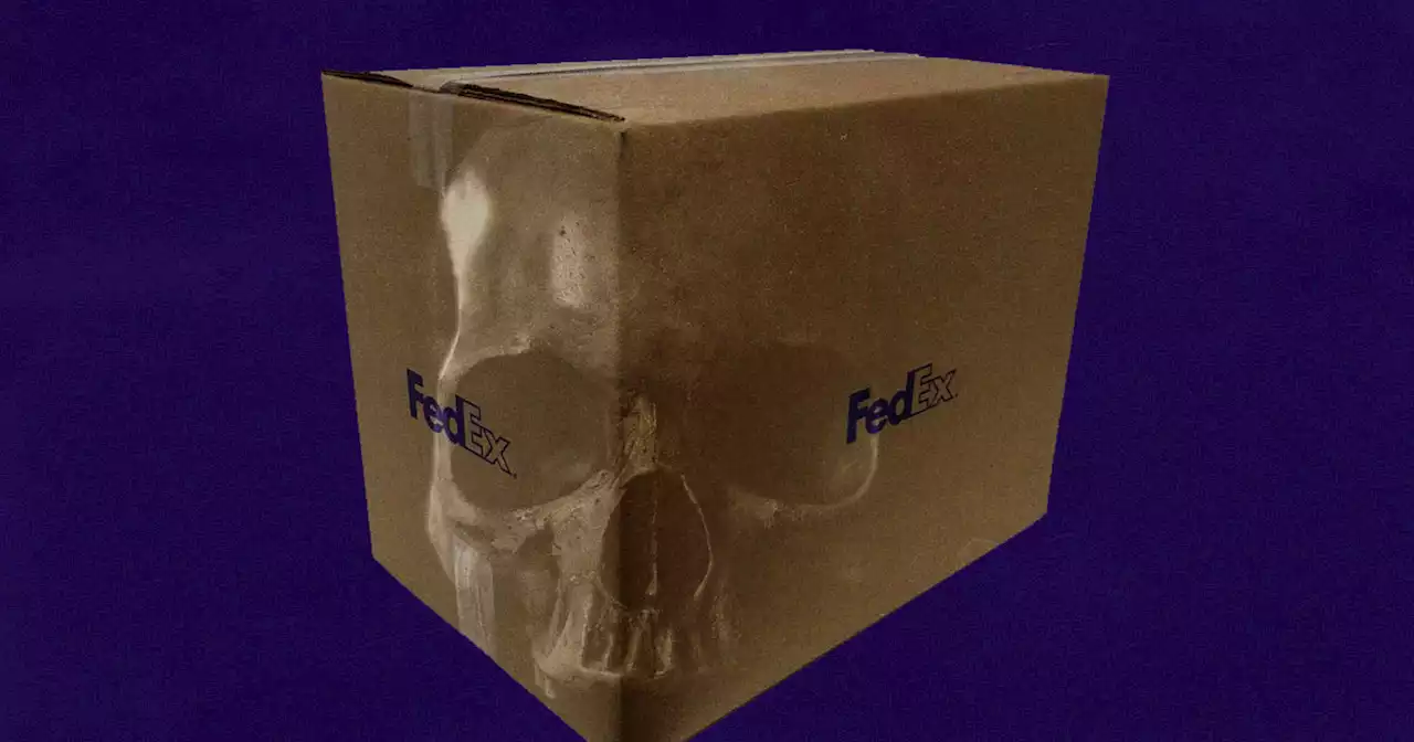 FedEx Apologies for Losing Human Skeleton Shipped Via Its Service