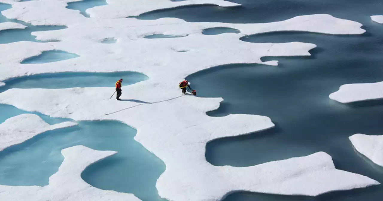 Scientists Say Arctic Ice Is Thinning Twice as Fast as We Thought