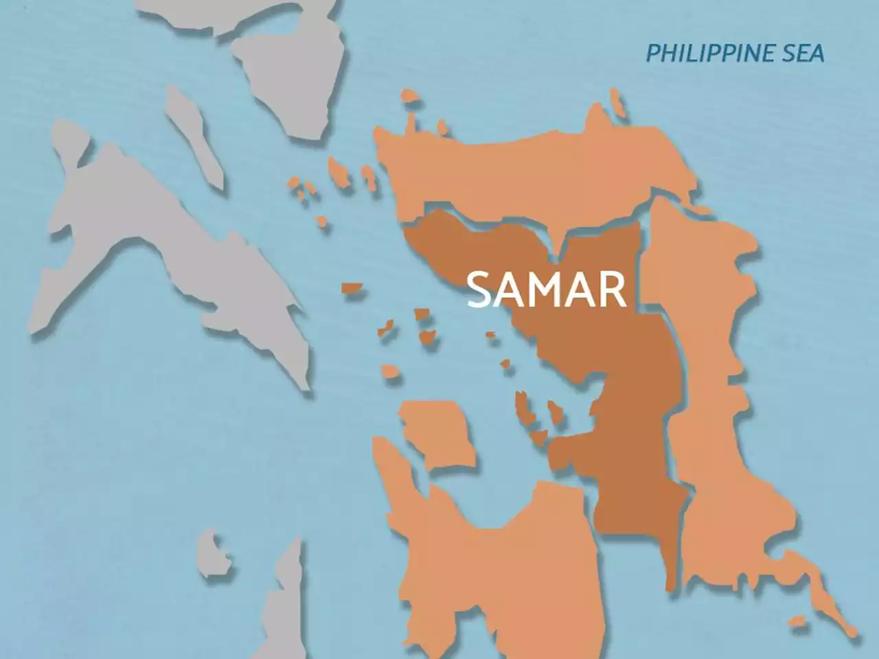 Military: 3 alleged NPA bombers killed in Samar operation