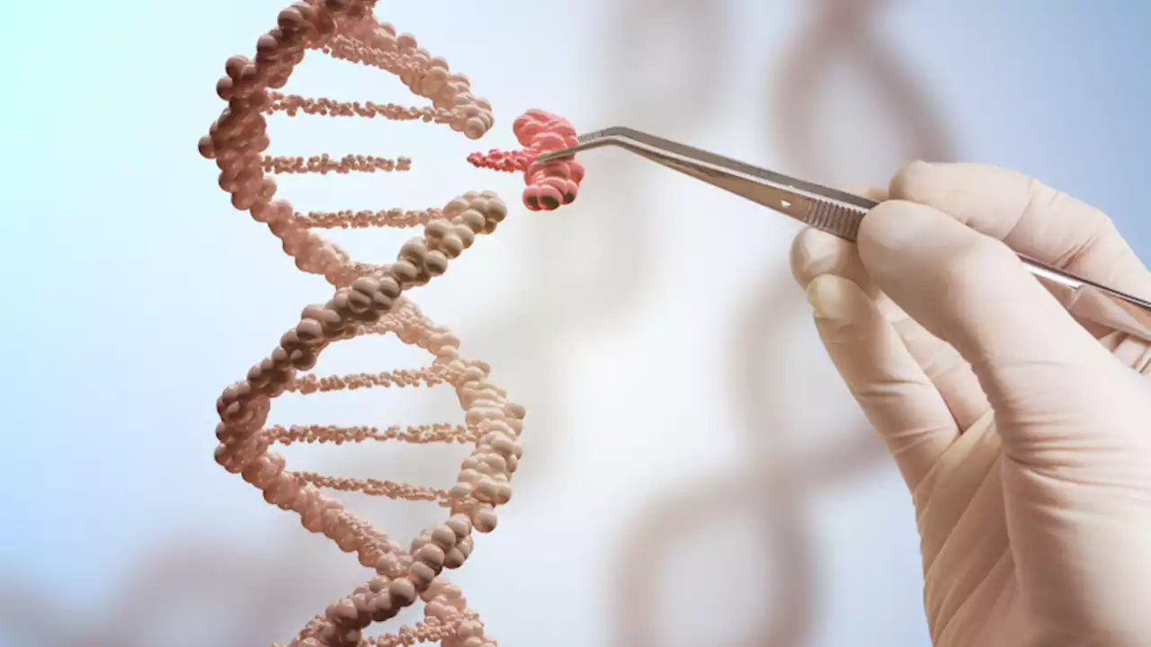 Editing a cholesterol gene could bring cardiovascular diseases to an end