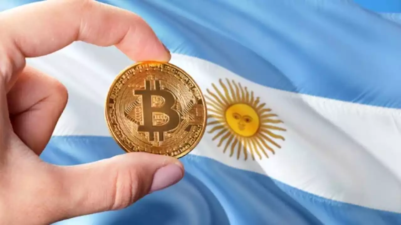 A prueba de todo: ¿cuántos argentinos invierten en criptomonedas a pesar de la crisis?