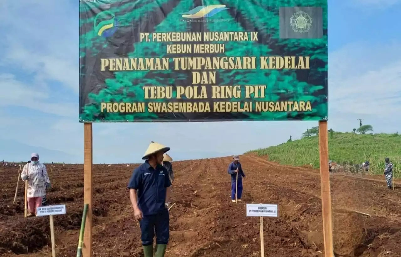 Wujudkan Program Ketahanan Pangan Nasional, PTPN Group Kembangkan Sistem BULE