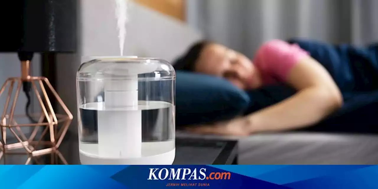 Bahaya Menggunakan Humidifier yang Berjamur dan Cara Mencegahnya