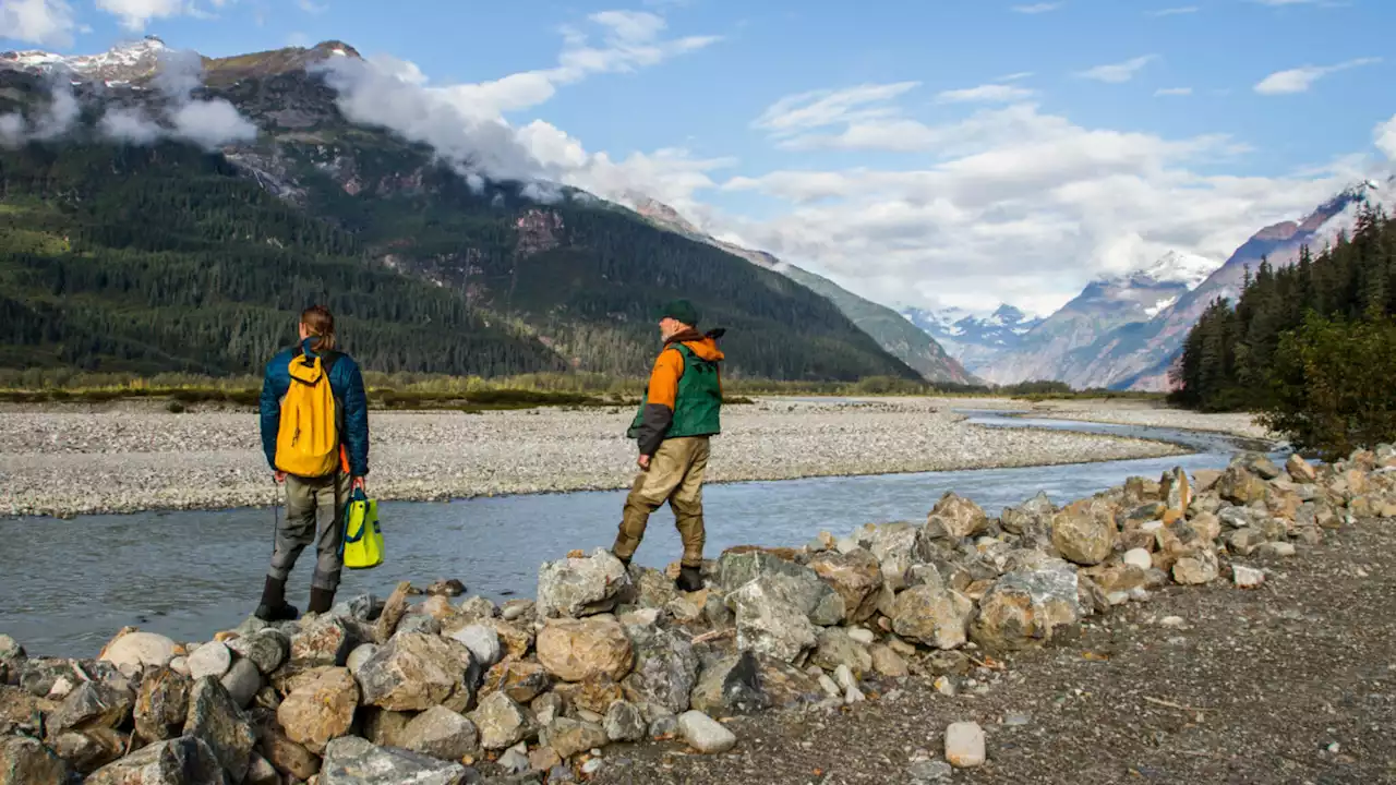 New study details mining's impacts on salmon habitat, even hundreds of miles downstream