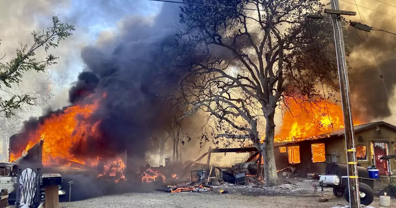 Peter fire destroys homes and damages tortoise sanctuary in Shasta County