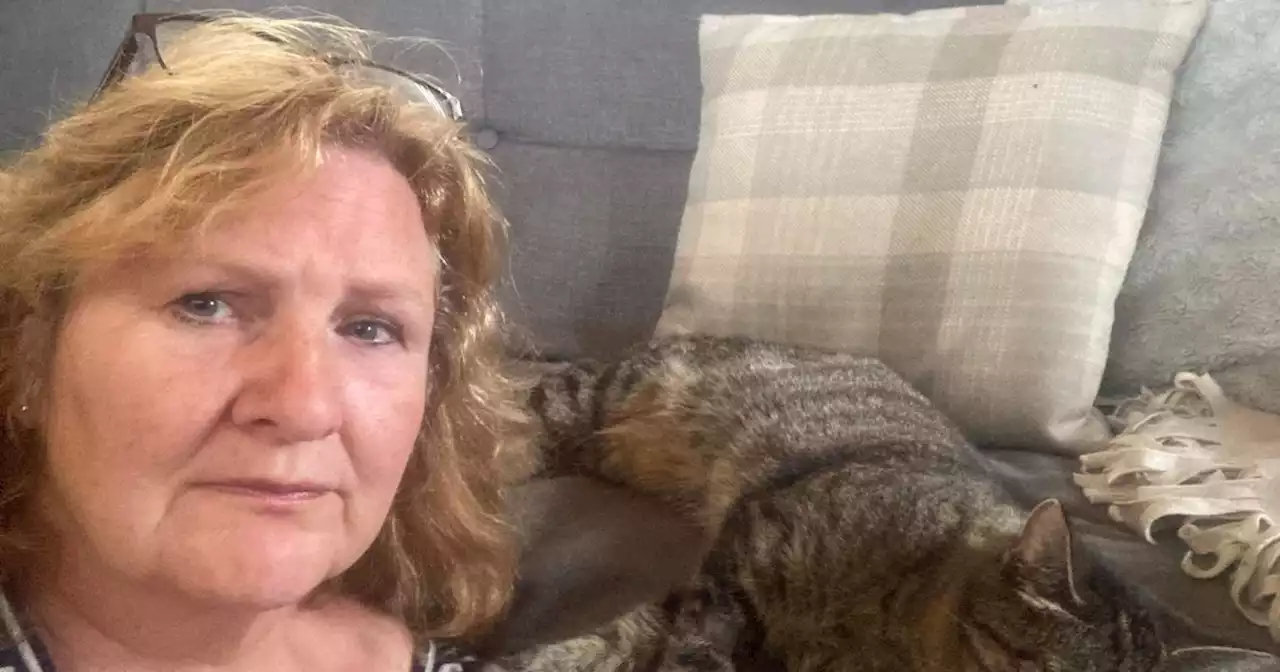 Widow heartbroken as cat 'tied up and shot' at Leeds canal