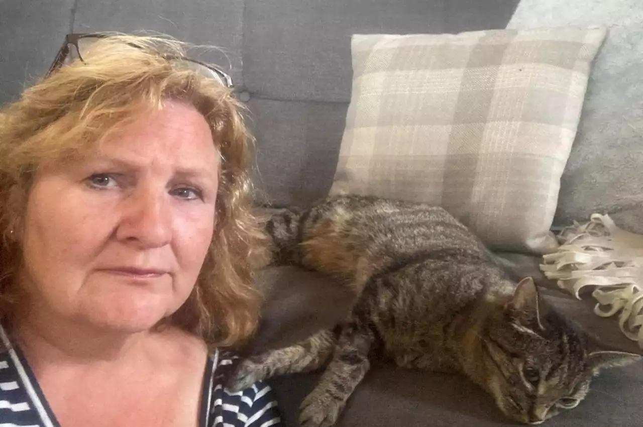 Woman left 'devastated' after pet cat is 'shot several times' and seriously injured in Leeds city centre