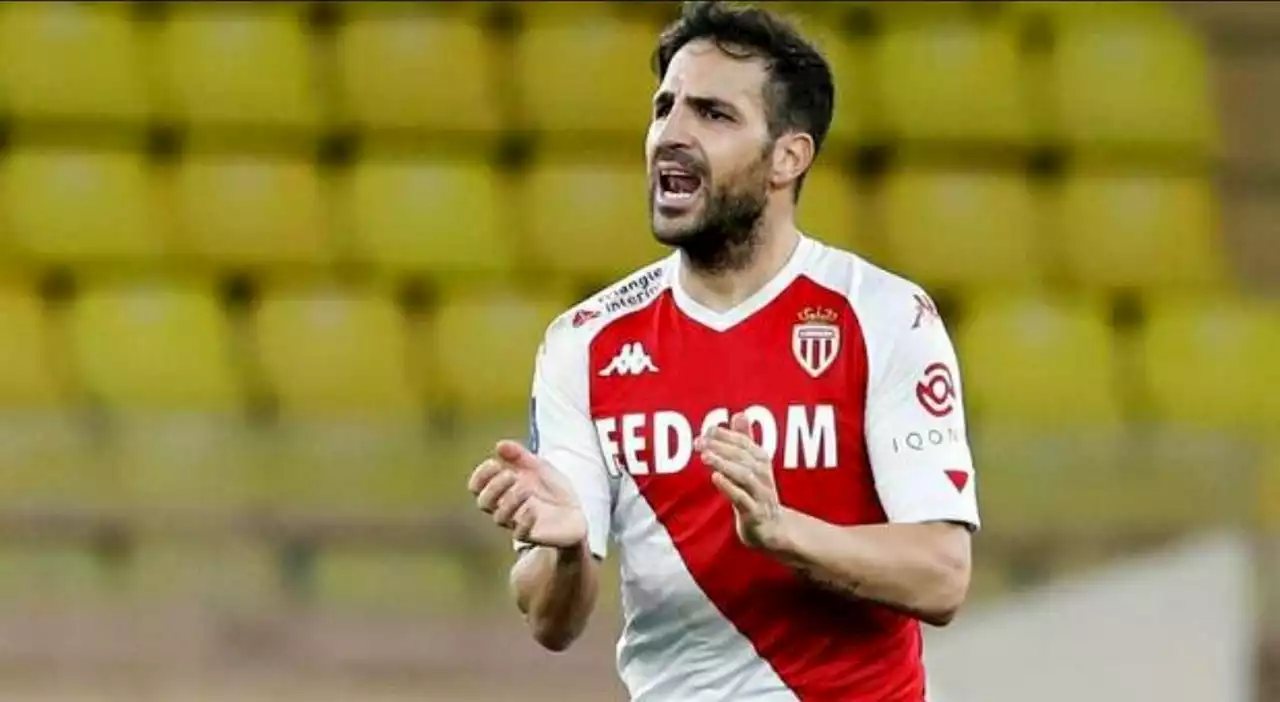 Fabregas al Como: com'è nata l'operazione più folle della serie B