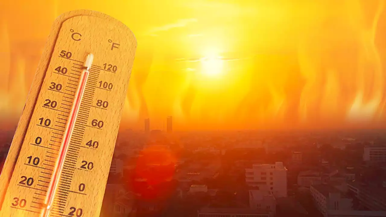 Late Summer Heat May Bring Increased Risk of Miscarriage