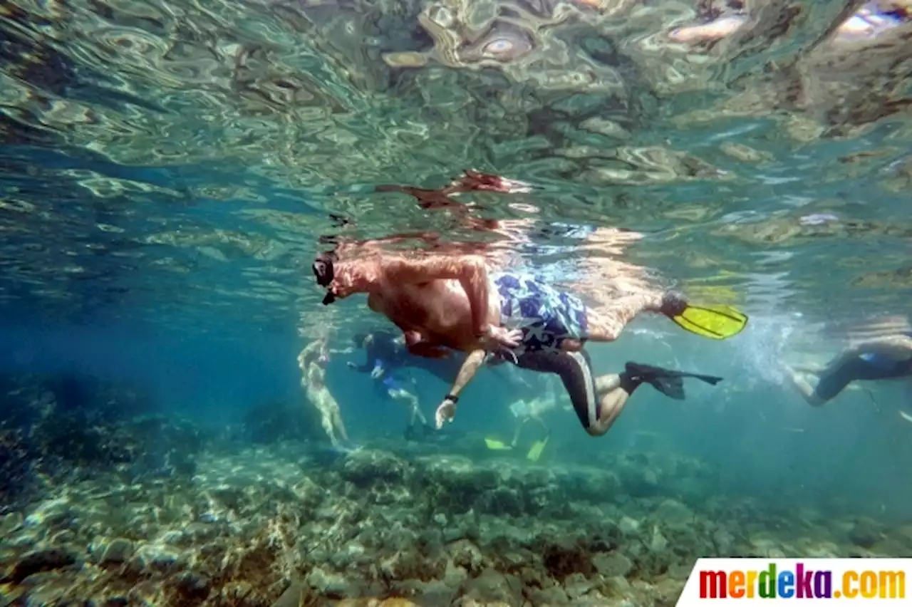 Foto : Menyelami Taman Arkeologi Bawah Laut Pertama di Siprus | merdeka.com