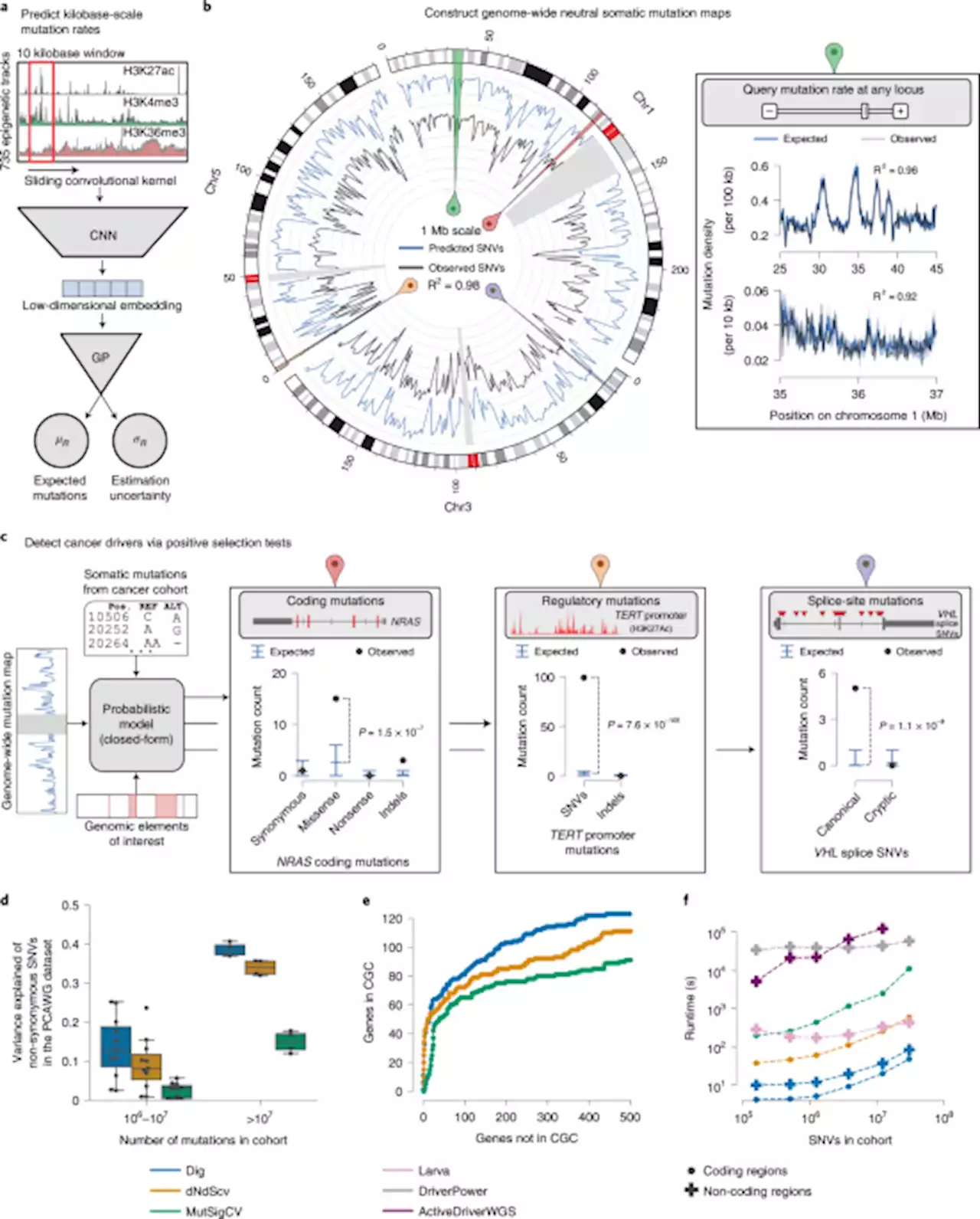 Genome-wide mapping of somatic mutation rates uncovers drivers of cancer - Nature Biotechnology