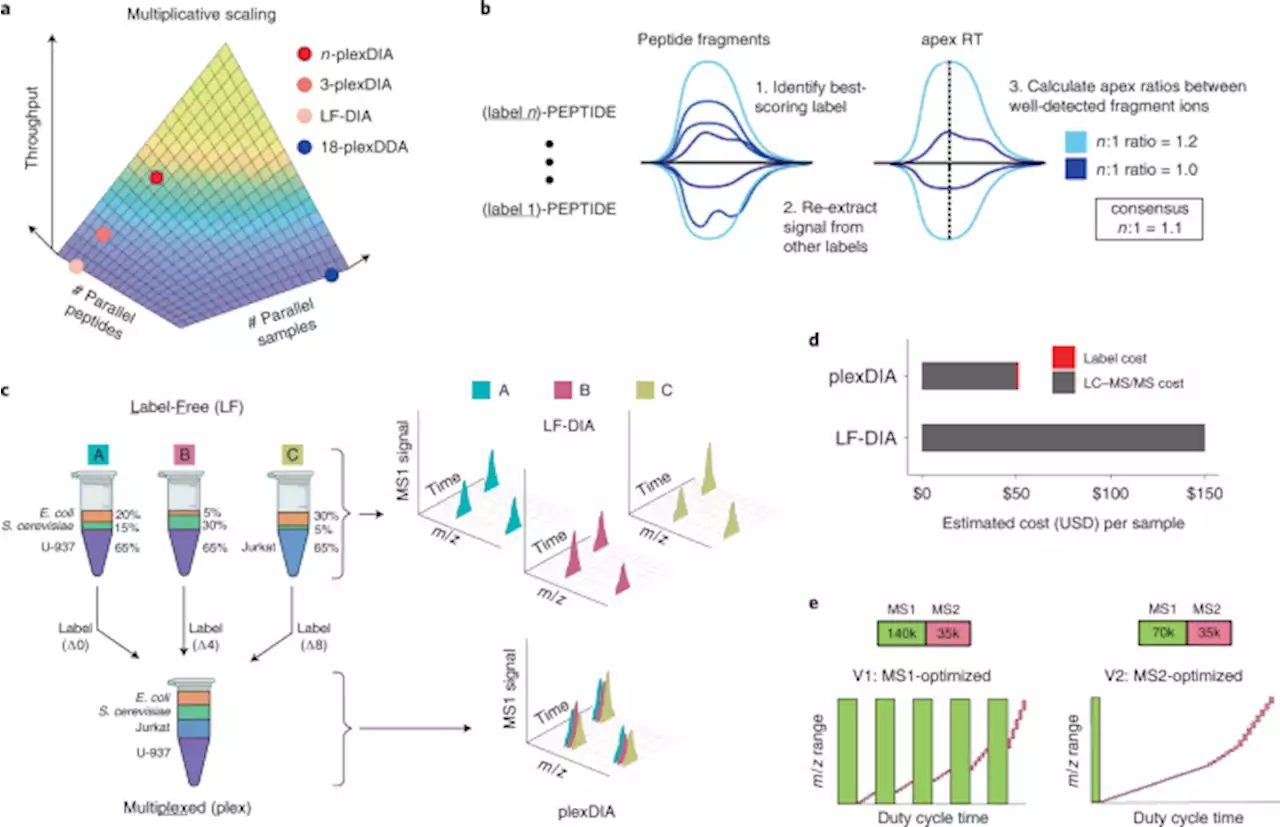 Increasing the throughput of sensitive proteomics by plexDIA - Nature Biotechnology