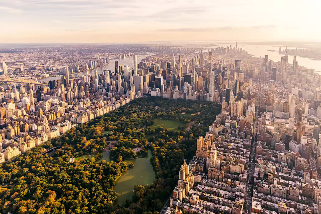 NYC’s real estate rental market has reached a shocking point