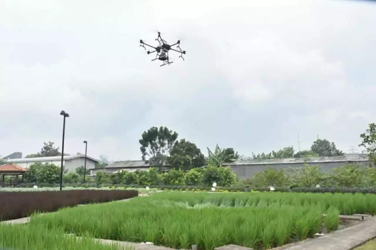 Petrokimia Gresik Kenalkan Teknologi Drone untuk Pemupukan Jenis Granul |Republika Online