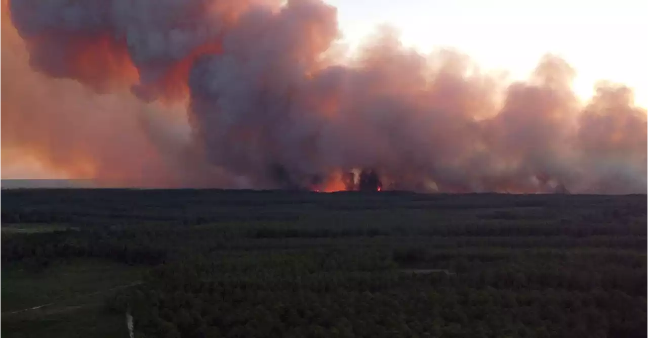 Hundreds more evacuated from homes as wildfires spread in France