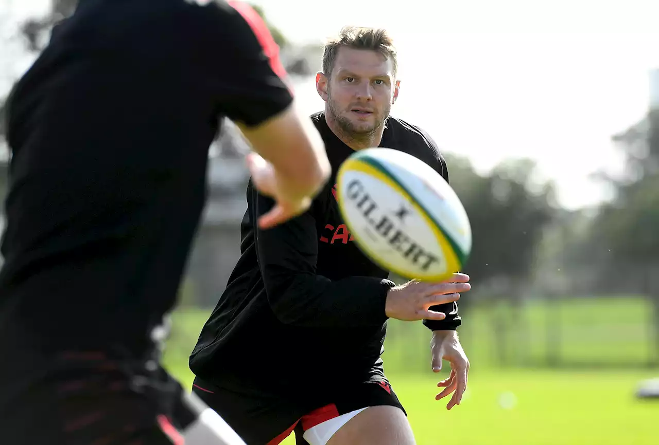 Bullish Biggar to butt heads with Boks