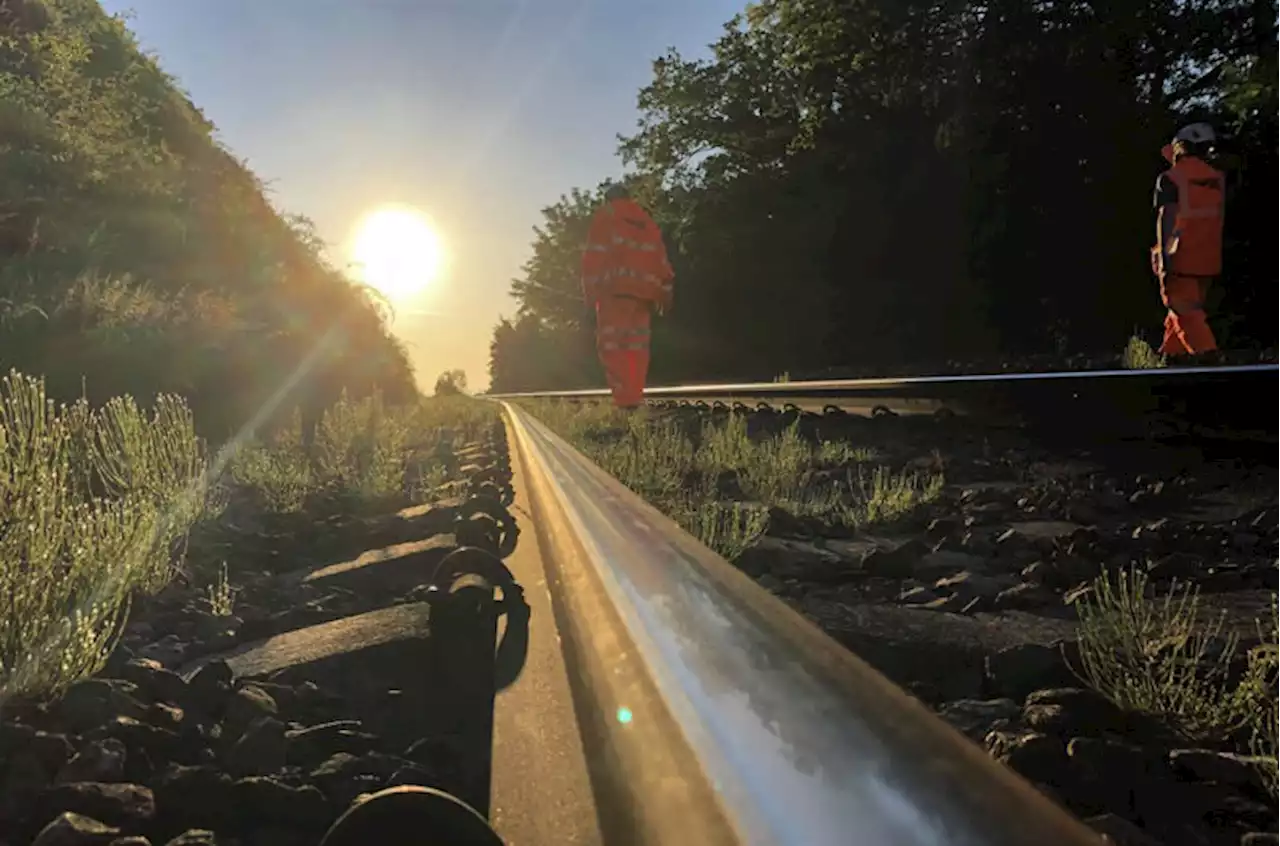 Transport for Wales announce service cancellations as record-breaking temperatures predicted