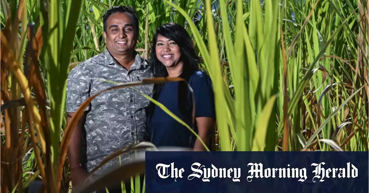 From ‘magic’ grass to roads and schools, China is everywhere in Fiji