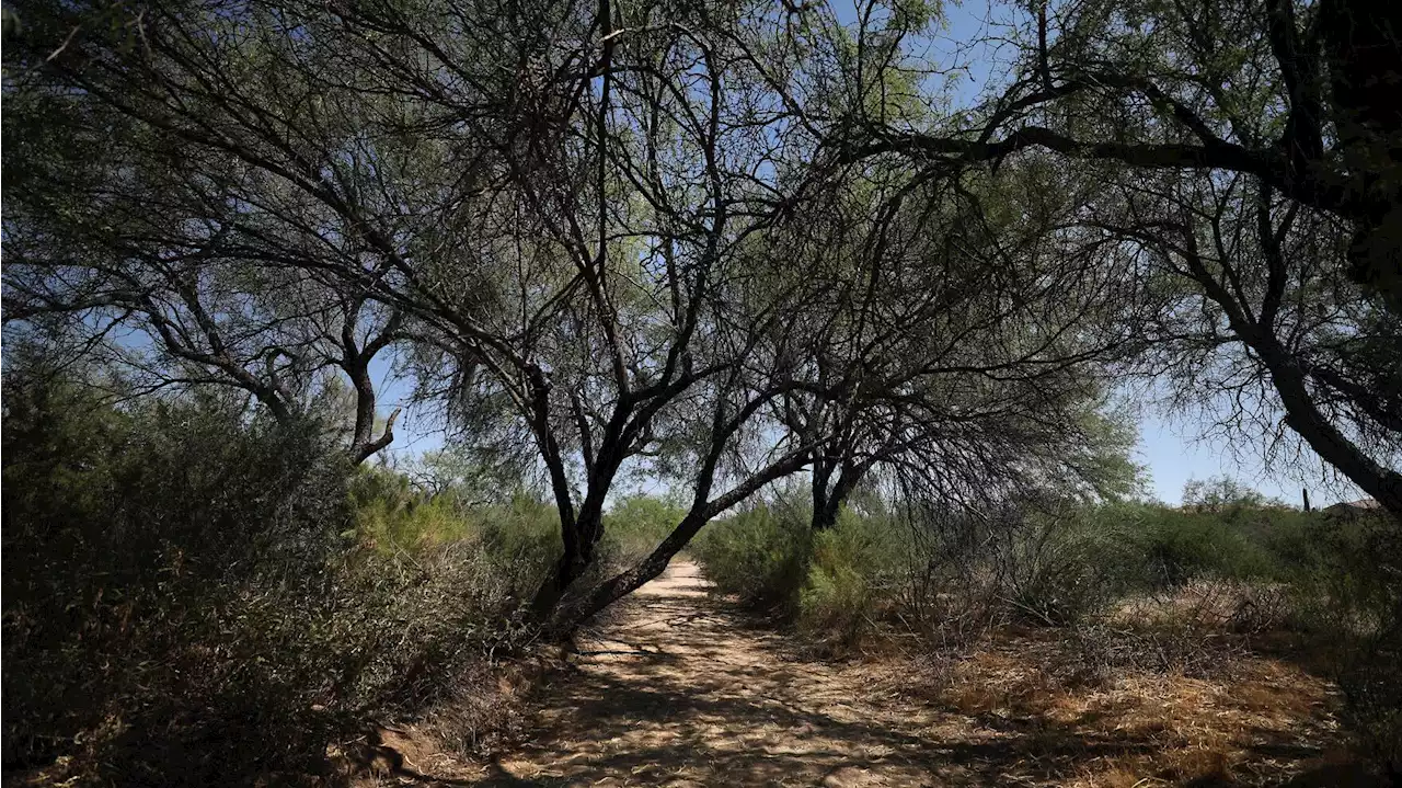 Oro Valley resident already writing the book on new nature preserve