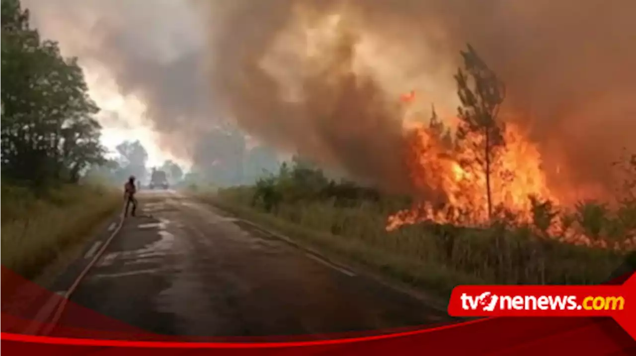 Hari Ketiga Kebakaran Hutan yang Hanguskan 3850 Hektare Lahan di Prancis Meluas, Pemadam Belum Bisa Memadamkan