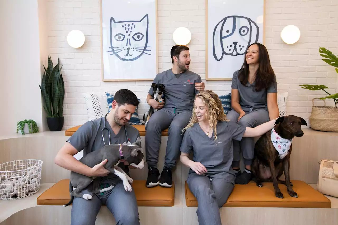 A NYC-Based Vet Clinic Startup Is Coming to DC