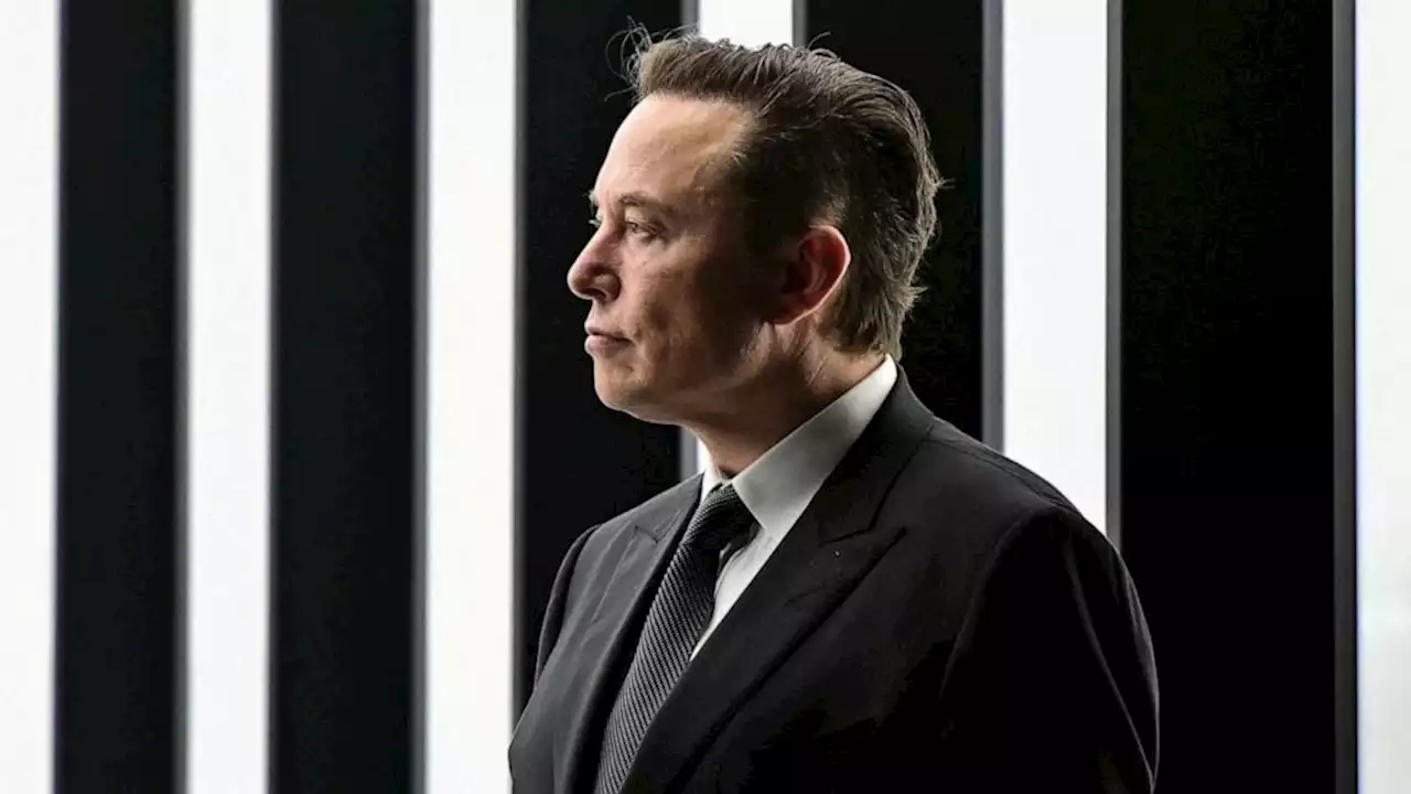 Elon Musk reacts to Twitter's $44 billion lawsuit