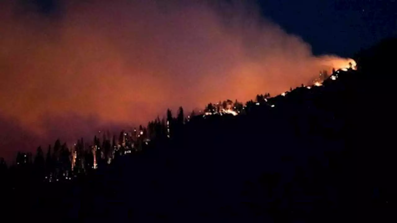 Growing wildfire poses latest threat to historic sequoia trees