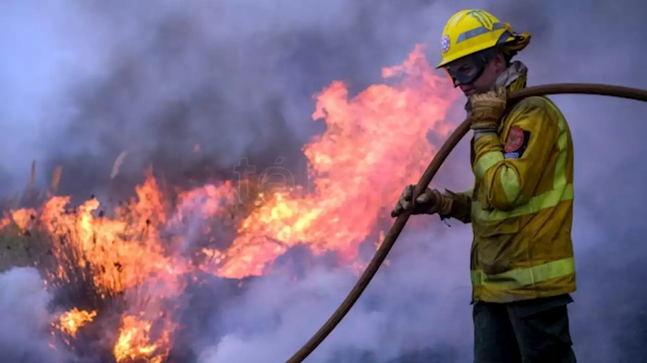 Ambiente denunció incendios en el Delta de Entre Ríos con información georreferenciada