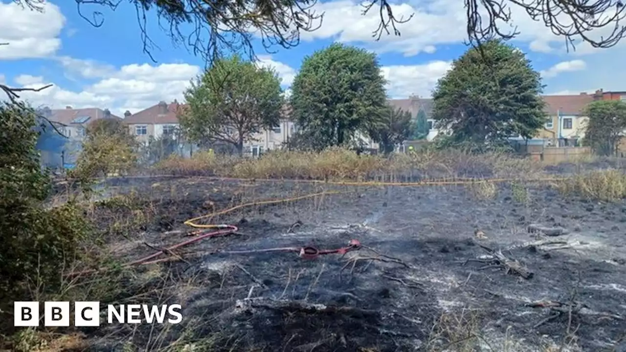 London heatwave: More than 800 grass fires in six weeks