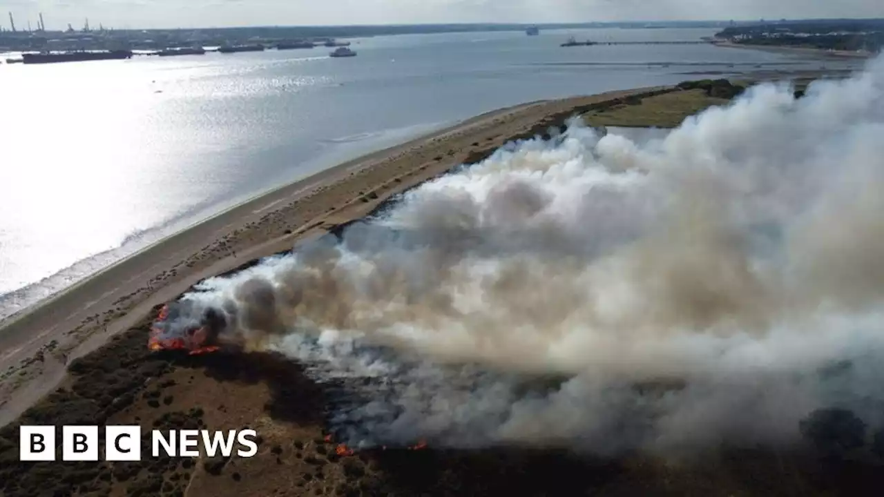 Hampshire nature reserve fires prompt warnings