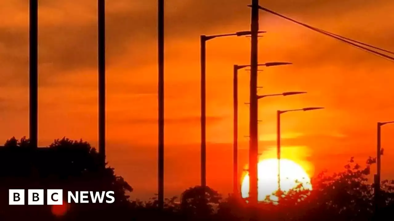 Heatwave: Northern Ireland could face highest temperature on record